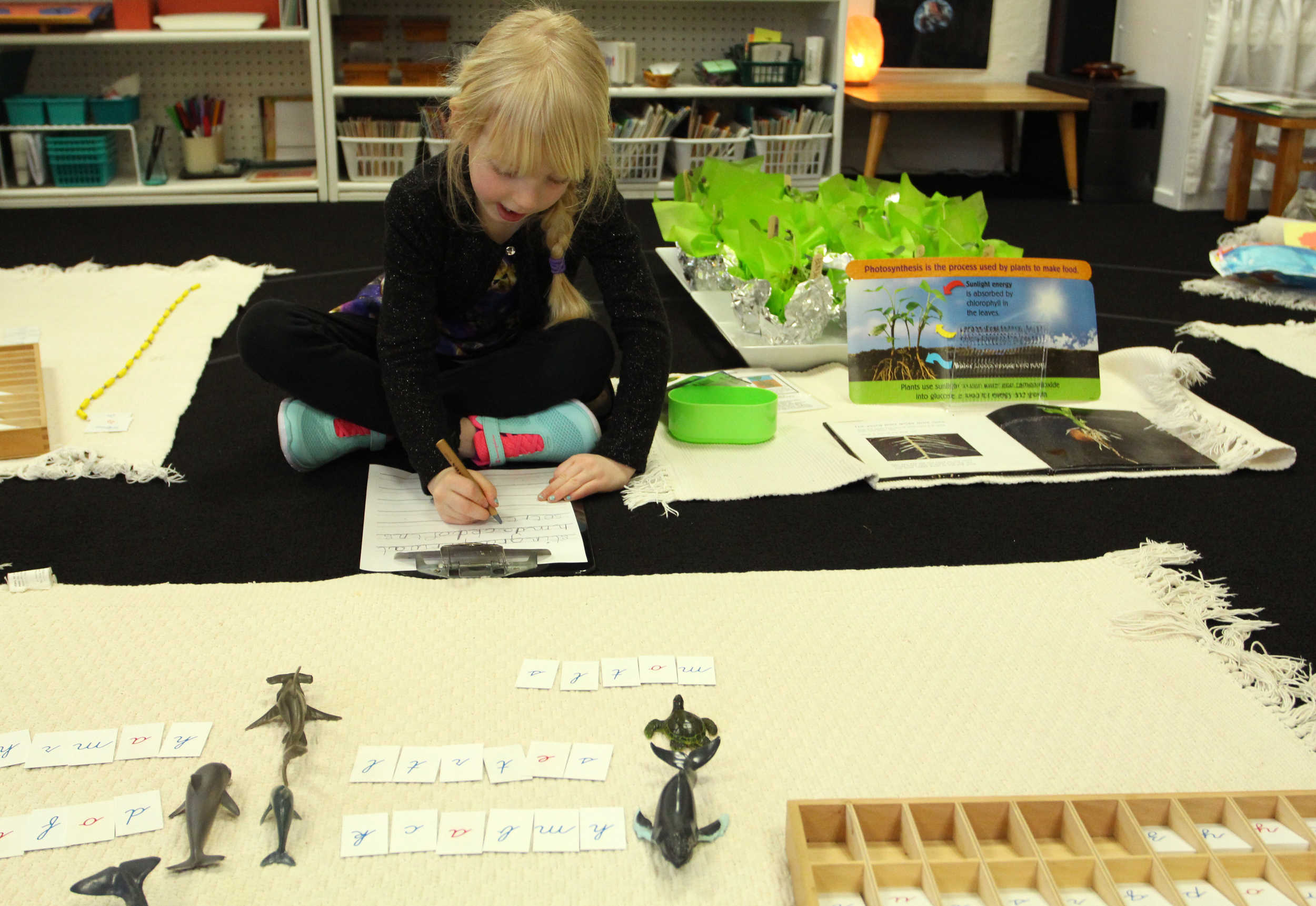  Language – Materials in this area act as step ladders for children working up to reading and writing. Here, a child has composed words&nbsp;using&nbsp;the moveable alphabet and is choosing to record her words as a list of nouns. This is speech made 