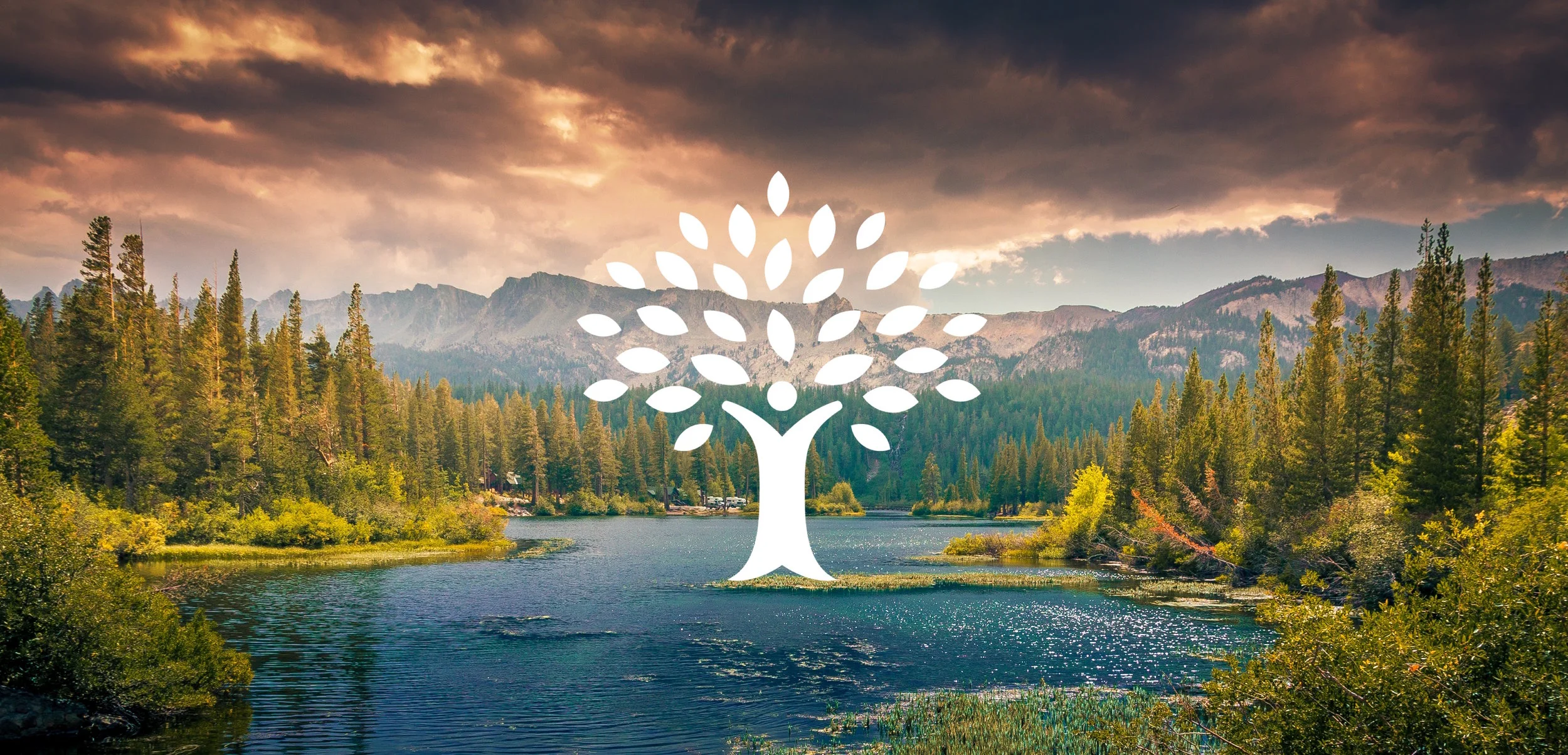 Sponsored Job Listing