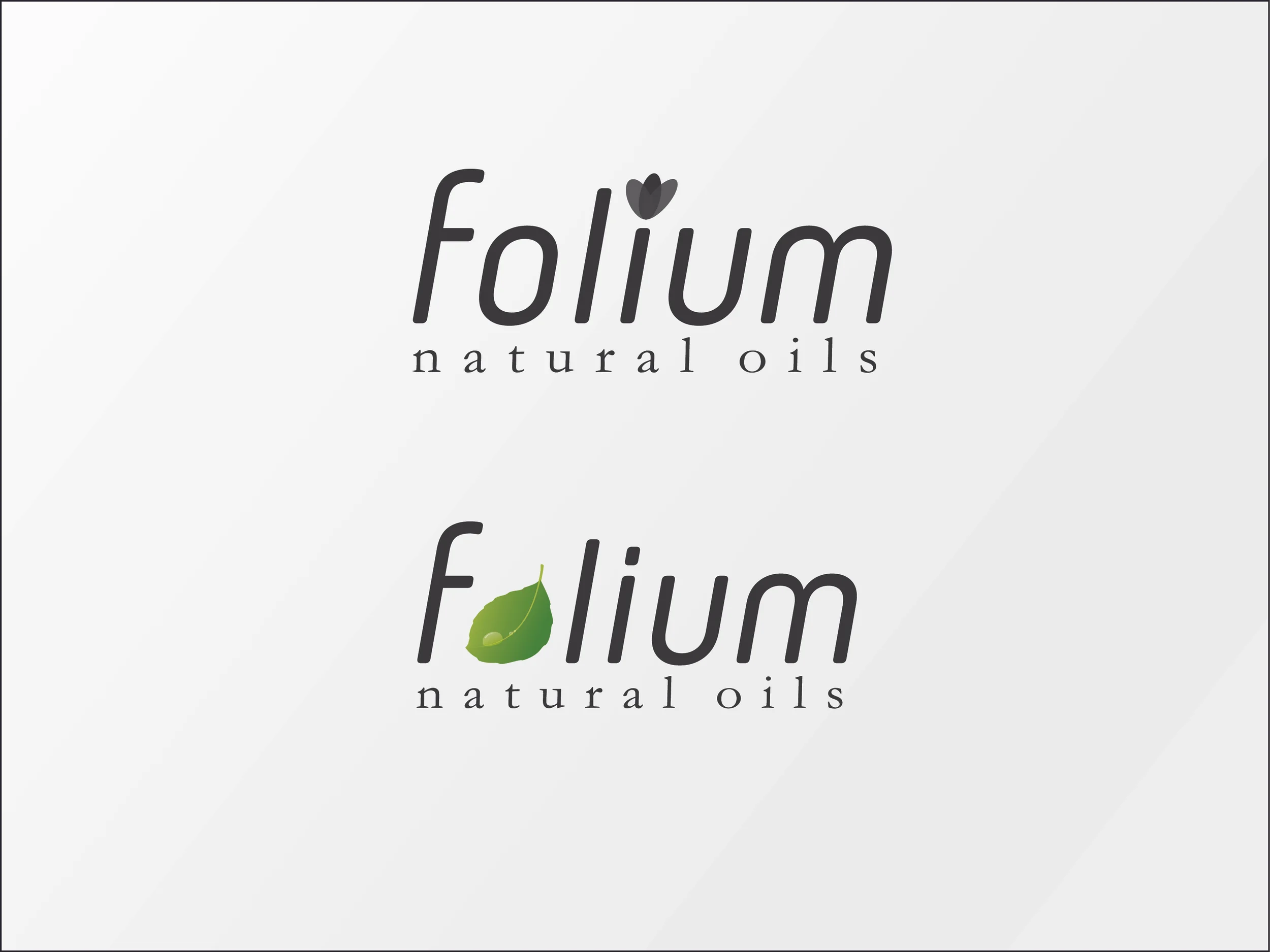 Folium-Options.jpg