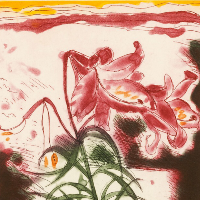 Elizabeth Blackadder (b. 1931)
