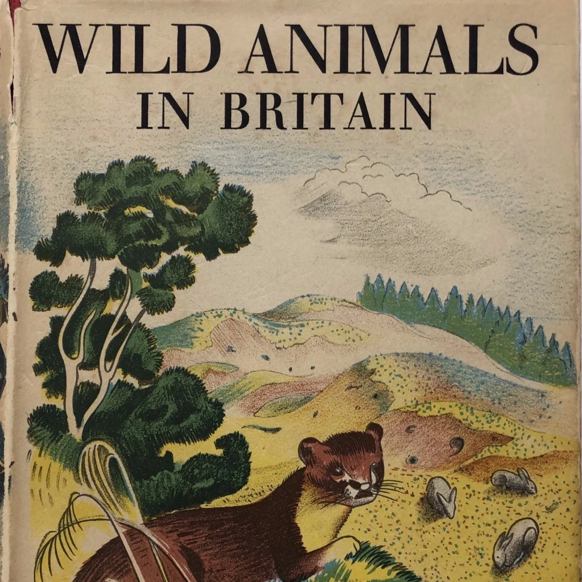 John Nash. Wild Animals in Britain £20.