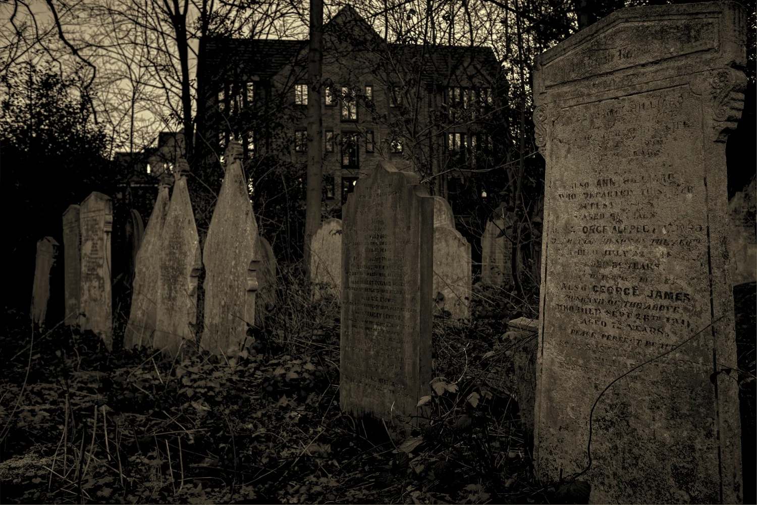 Dusk In The Cemetery I