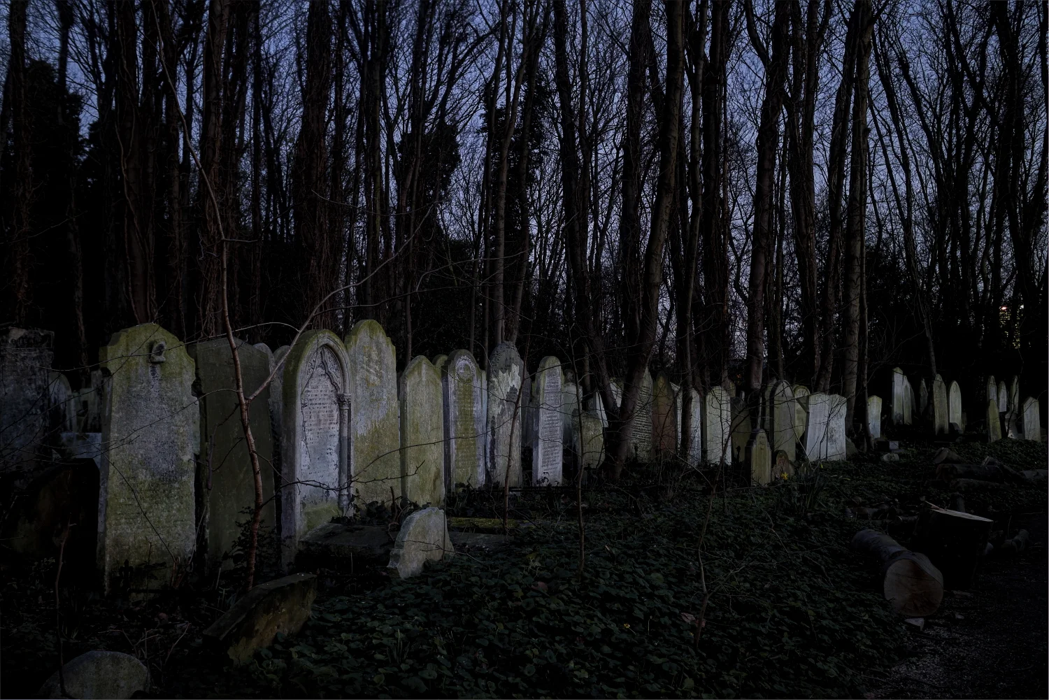 Dusk In The Cemetery II