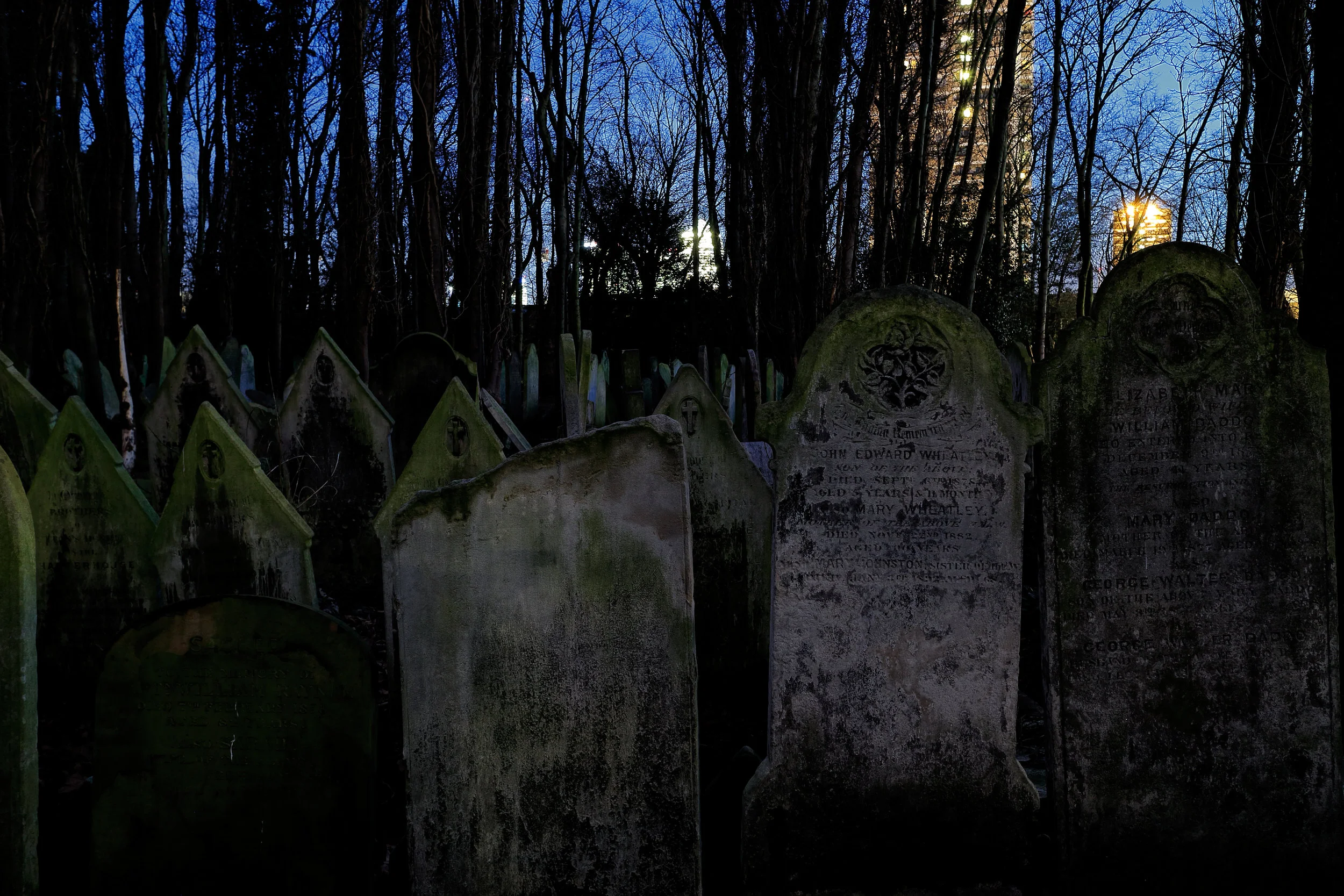 Dusk In The Cemetery III