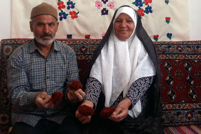 web-osta-aliakbar-sahranavard-saffron-96.jpg