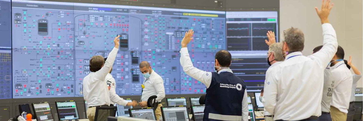 Rising Electricity Demand Requires New Thinking on Gulf Grids