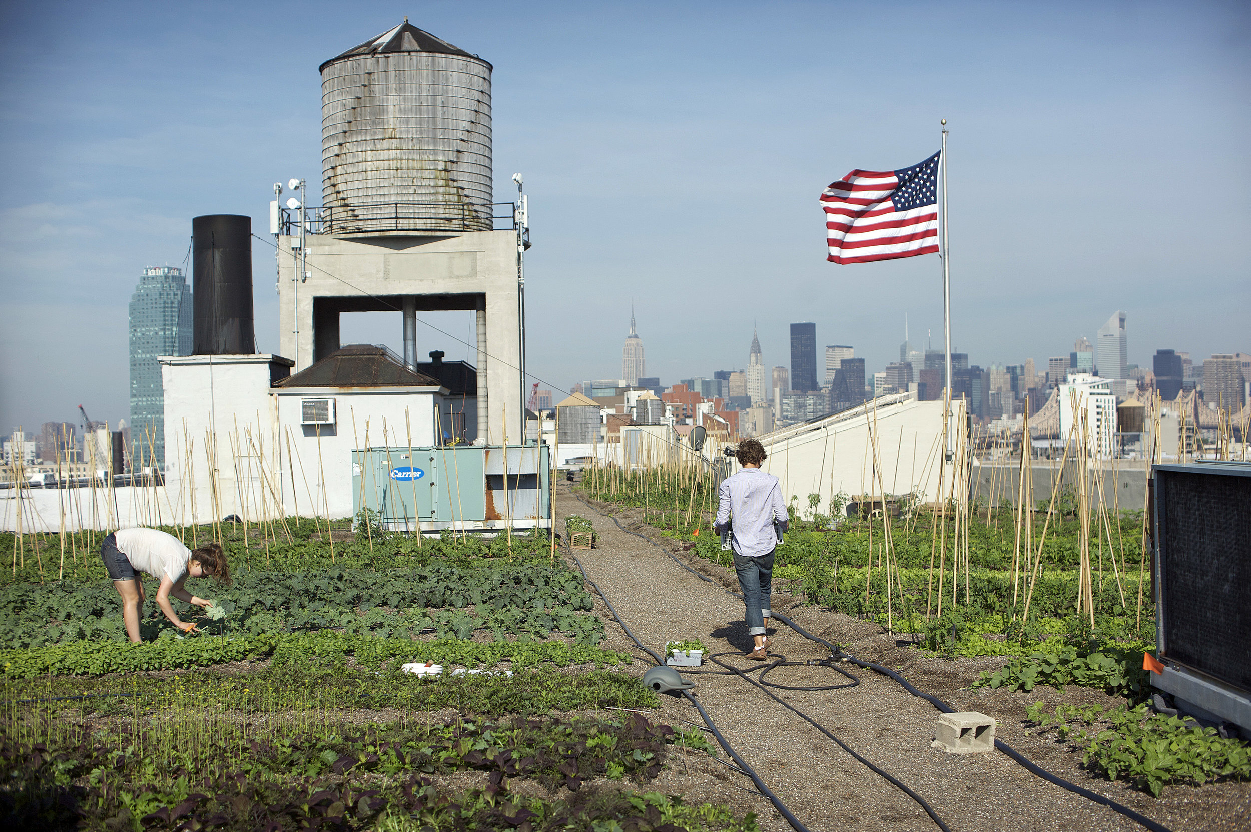 rooflite® Missouri Organic Recycling
