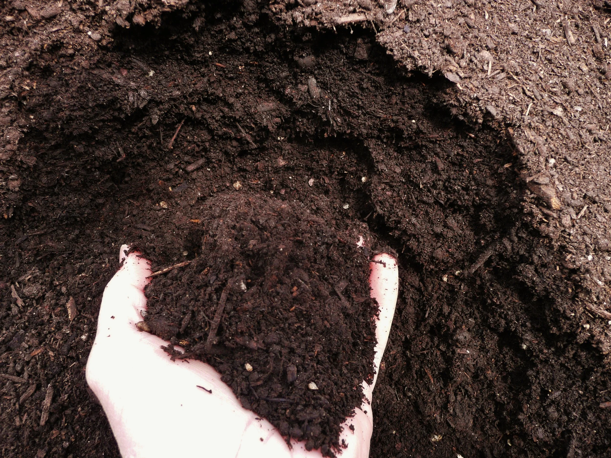 BULK-EKO-Compost.jpg