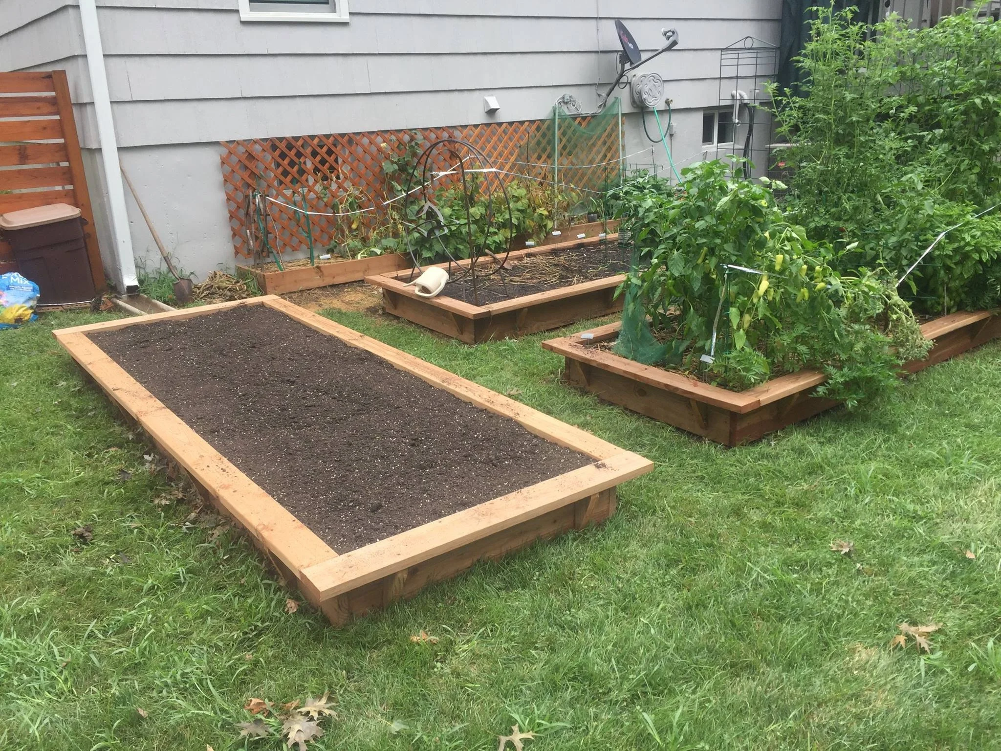 Sudden+garden.jpg