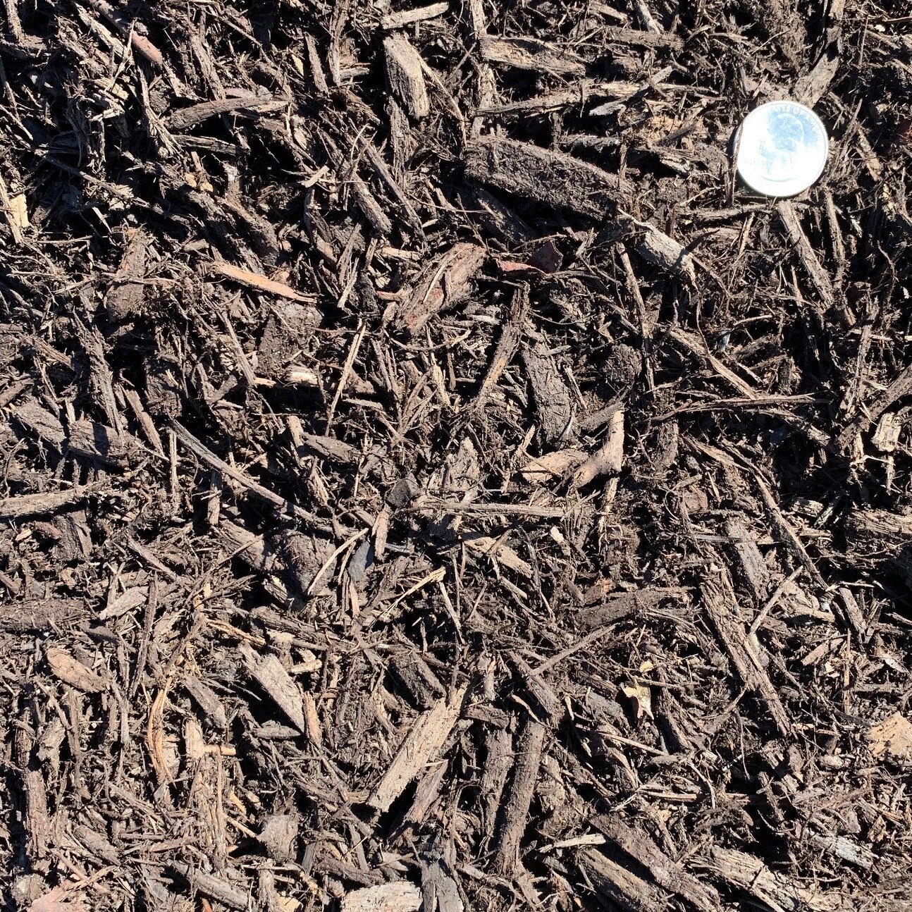  Brown mulch with a quarter for size representation showing shredded mulch 1 inch minus with fines. 