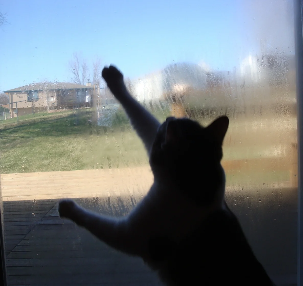 A failed seal ruins your view. Call us for an estimate on thermal pane replacement.