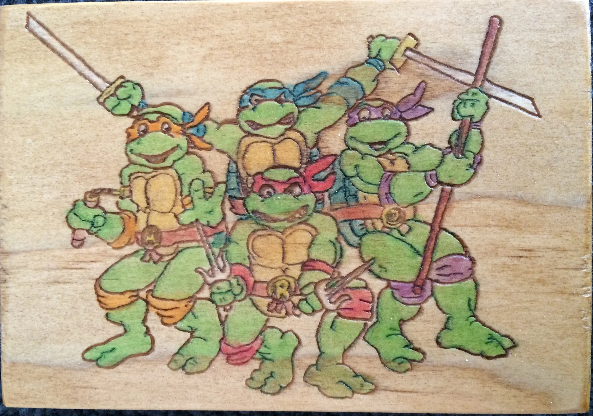 turtles!.jpg