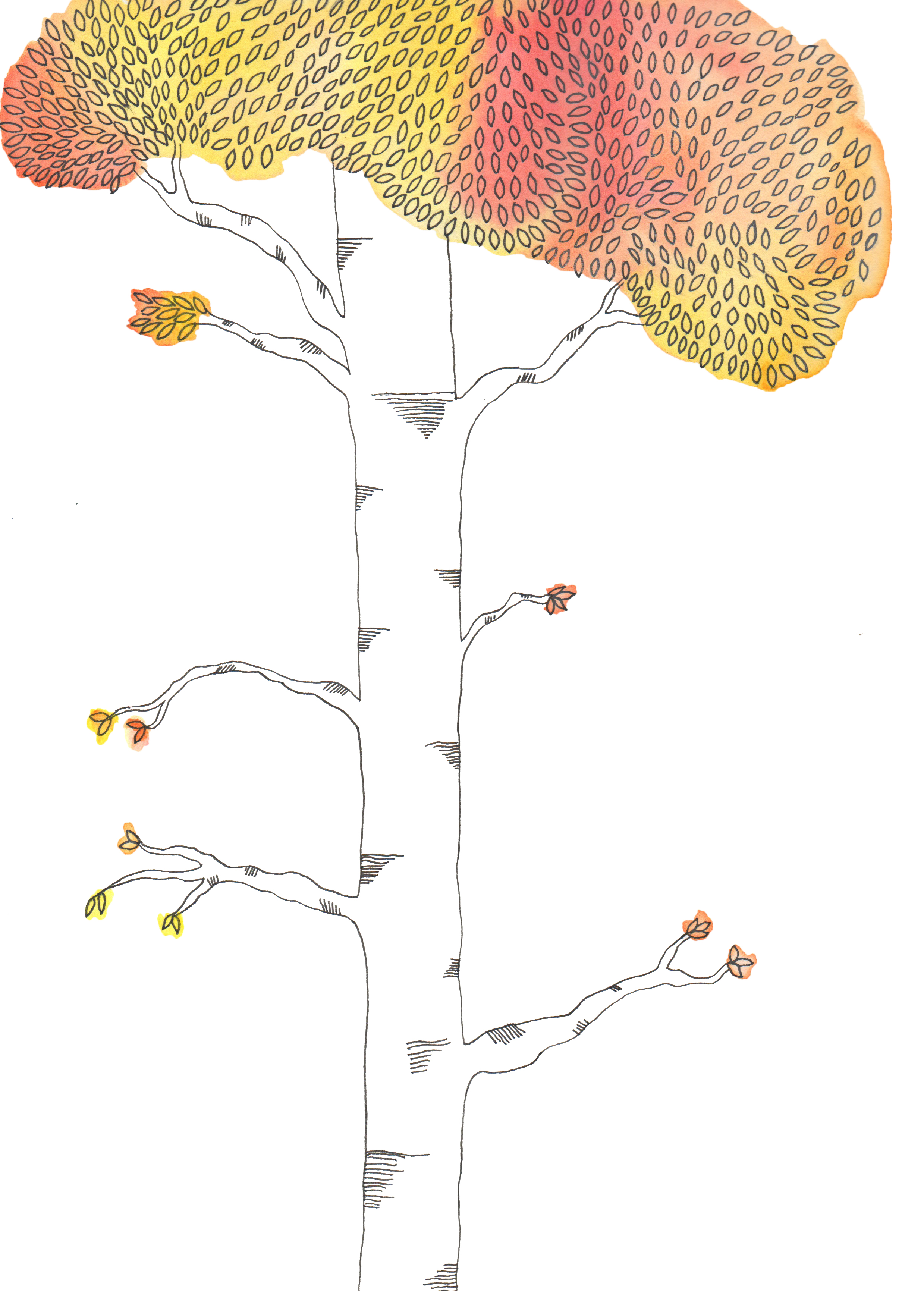 Tree.jpg
