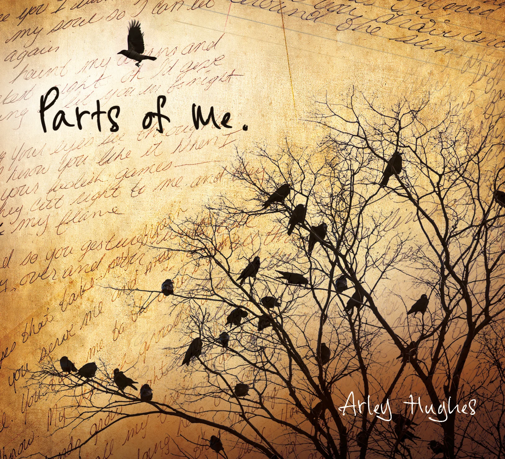 Parts of Me Album Cover created by Dean Pickup of Canada Book Design/ dpictcom@telus.net On it Dean has taken bits of my own hand written original songs and placed them on the background. Crows are present because they hold little bits of all my stories I feel very connected to this bird, so it made sense for me to have them on my first Album Cover. 