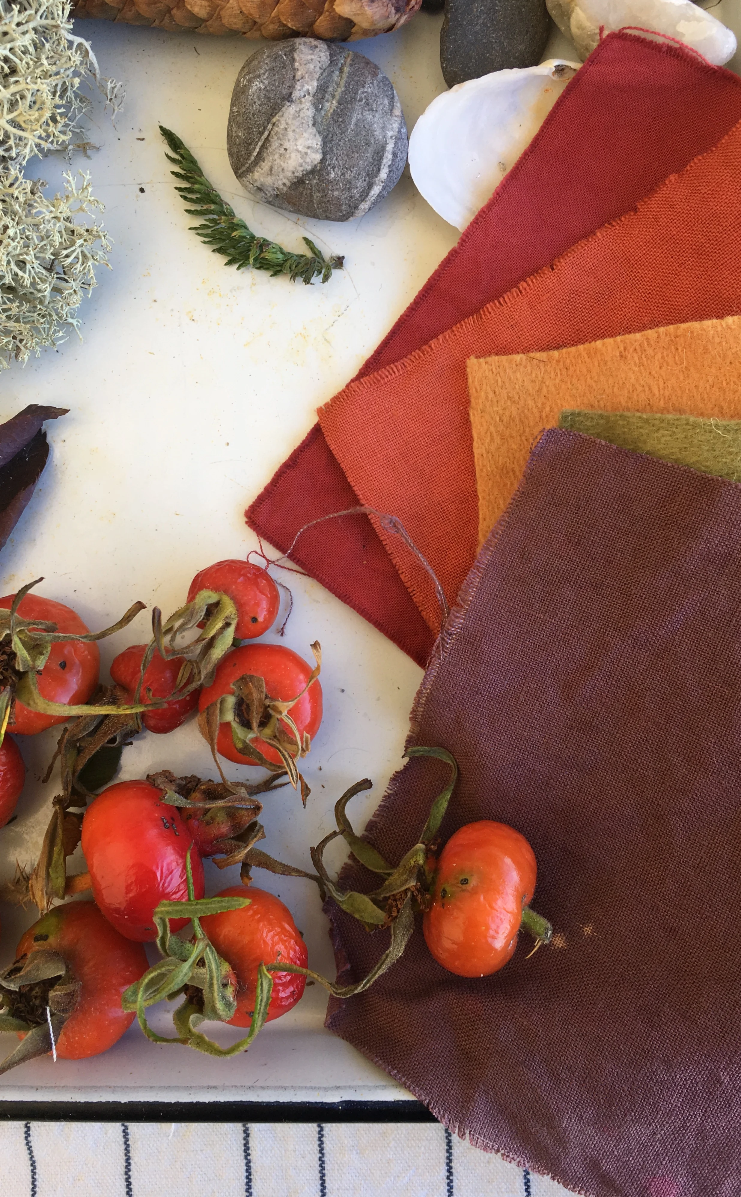 Wild rosehips, swatches in deep, vibrant tones