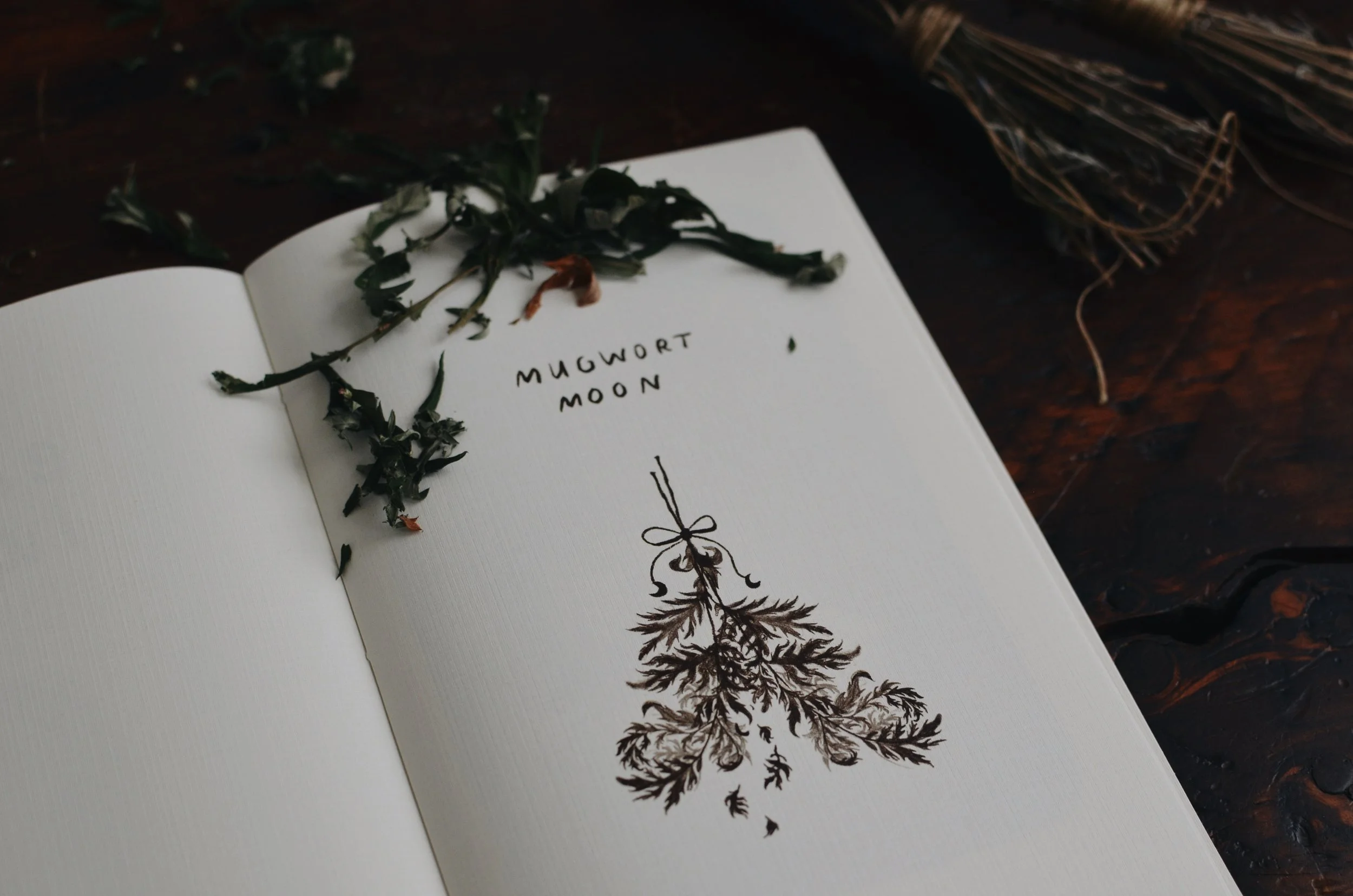 mugwortmoon4.jpeg