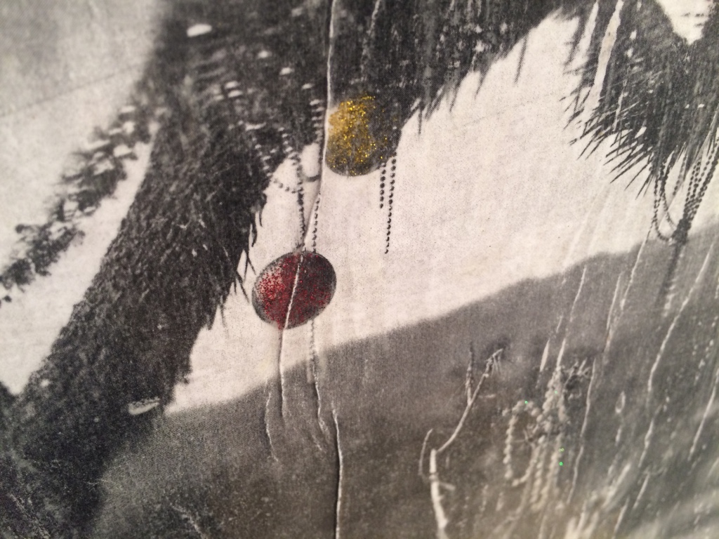joshua's tree