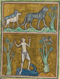 Man with wolves, from a bestiary (c 1230-14th century); highly reminiscent of scenes from Marie de France's "Bisclavret". London, BL, Royal MS 12 F XIII, fol. 29r. From BL online.