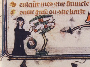 From Paris, Bibliothèque nationale de France, Français 25526. Via Lucy Allen's blog post .