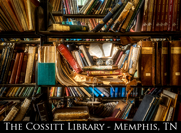 Cossitt-Library-Featured-Image-1.jpg