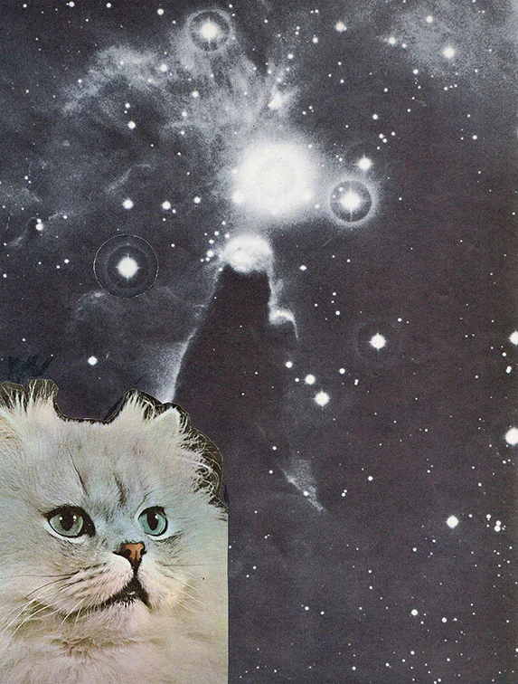 astrokitty.jpg