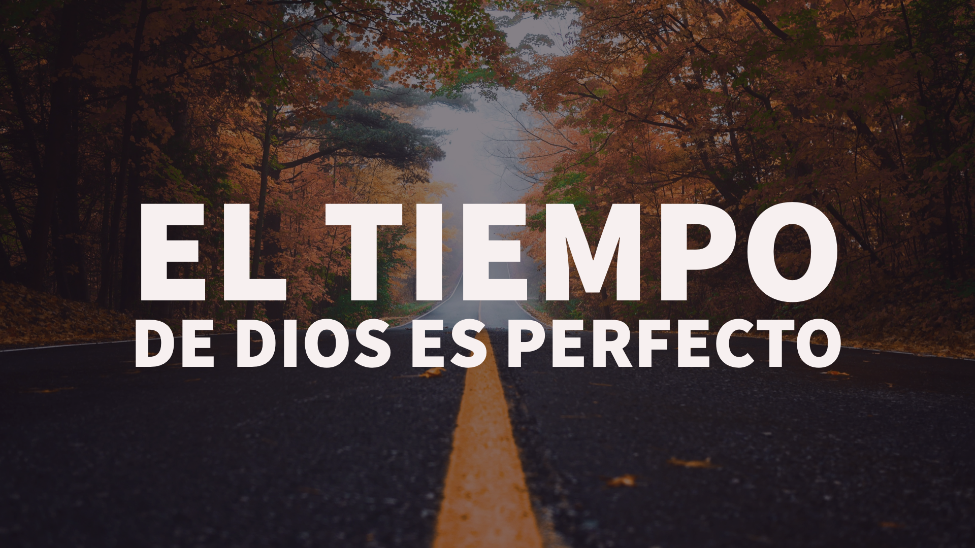 El Tiempo de Dios es Perfecto