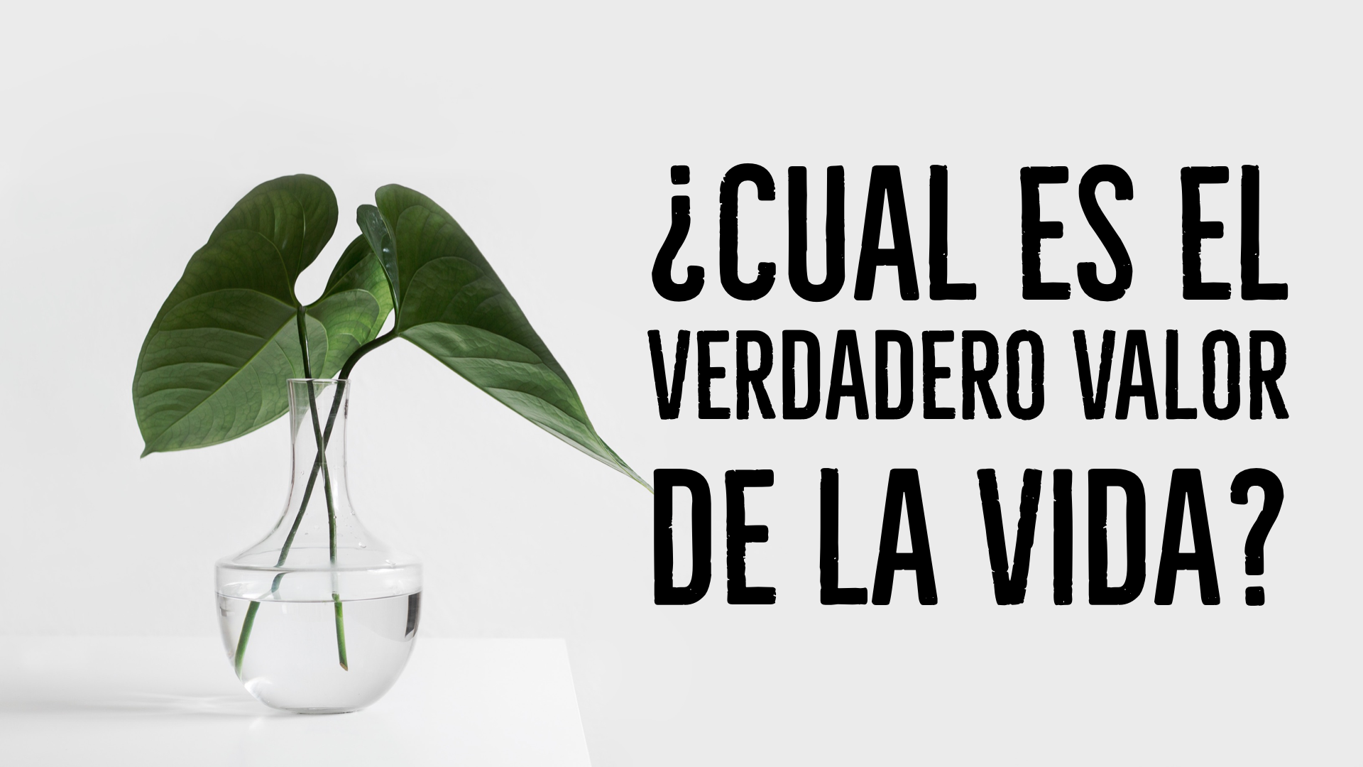 ¿Cual es el Verdadero Valor de la Vida?