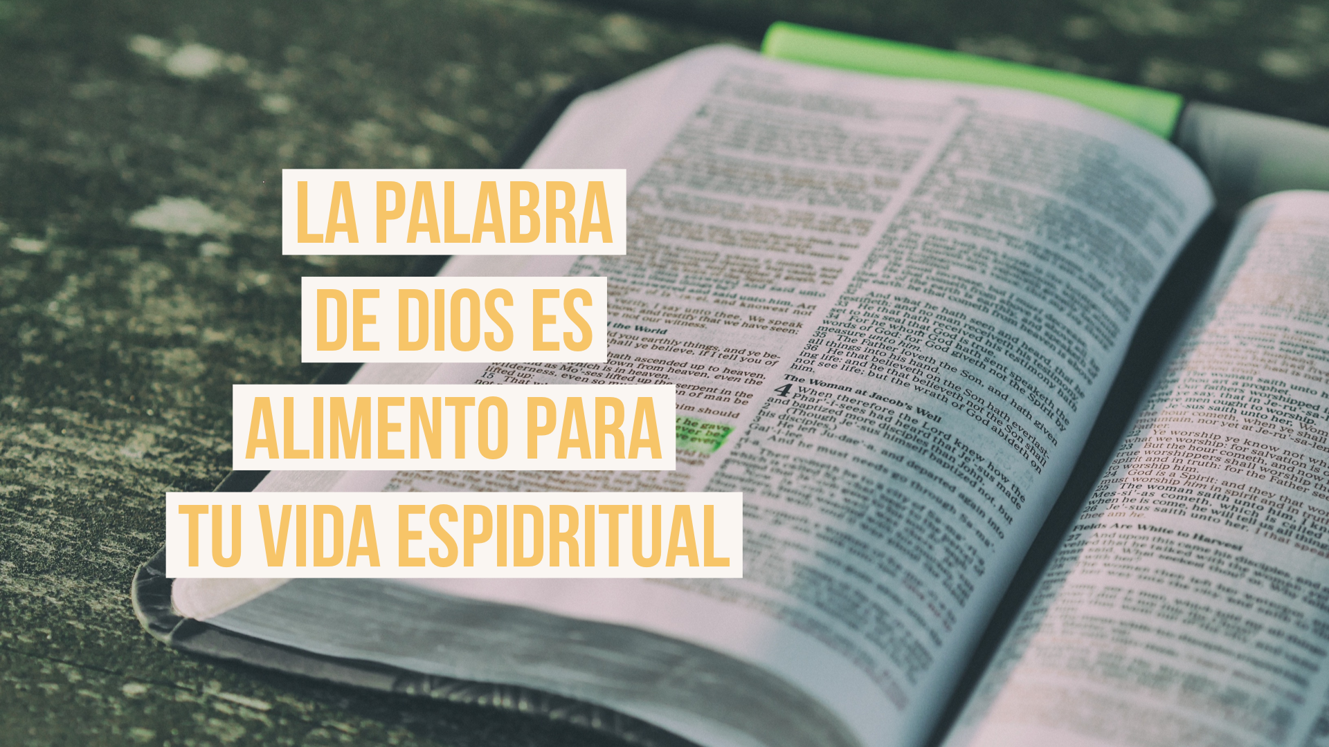 La Palabra de Dios es Alimento Para Tu Vida Espiritual
