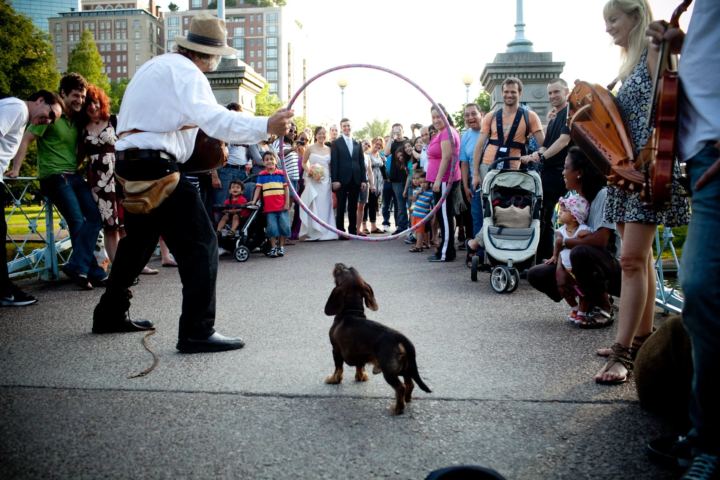 A street performer with a hat and white shirt is performing a magic trick with a hula hoop for a crowd of onlookers. A small dog is standing in front of the performer. The crowd includes kids, adults, and a bride and groom in the background. The scen