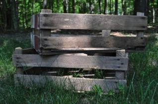 Short Apple Crates