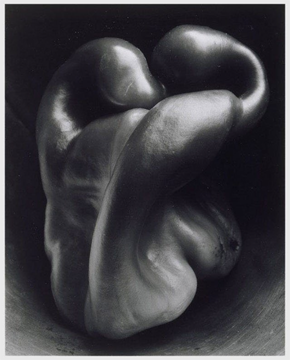 Edward Weston Pepper No. 30 1930