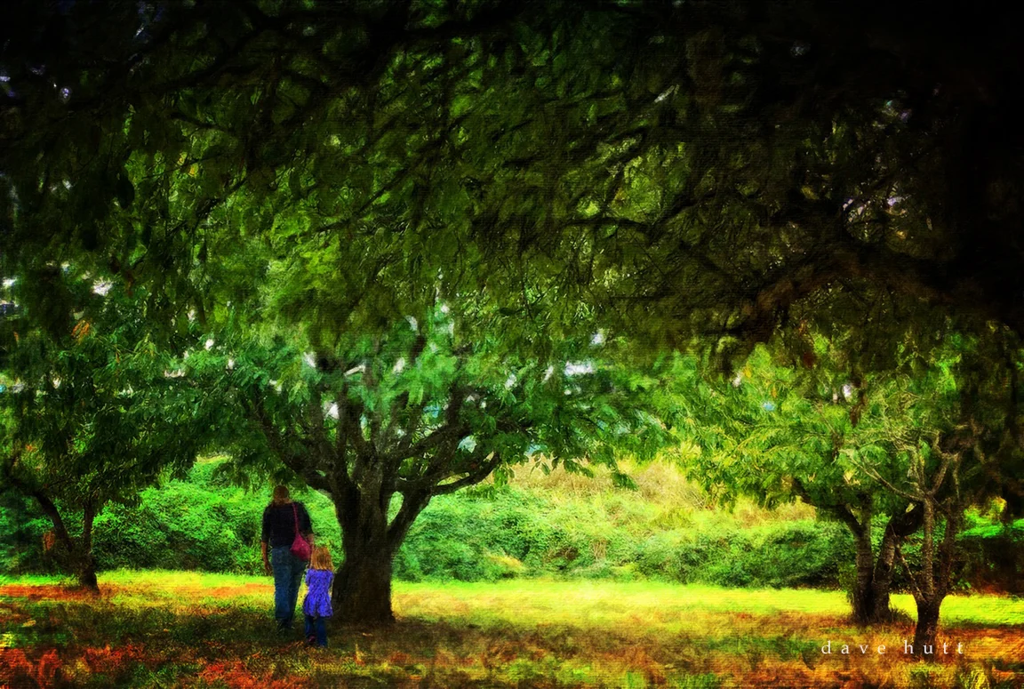 An Orchard on Sauvie Island 2016