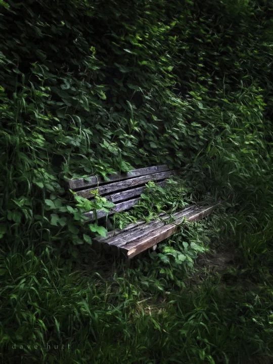 Vanishing Park Bench, Clackamas County Oregon 2018