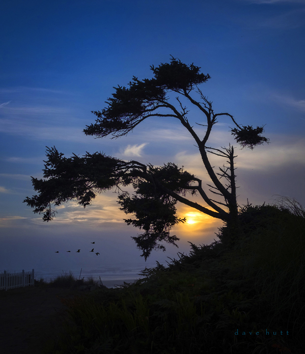 Sunset, Oregon Coast Fuji Xe2 2018