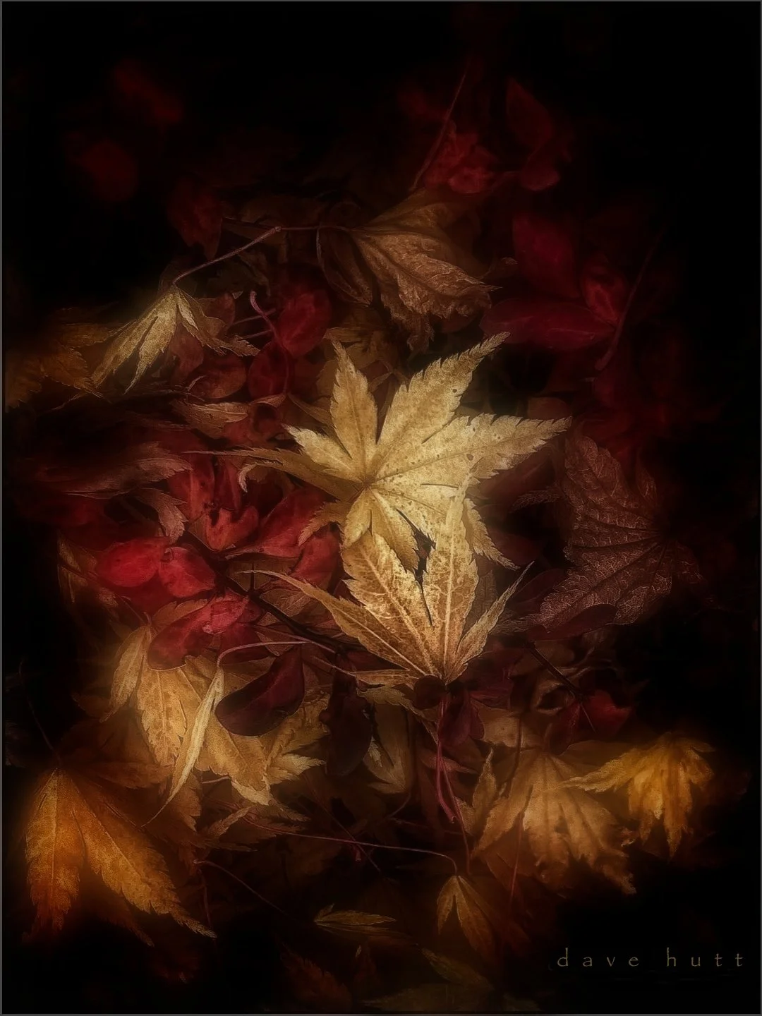 Autumn vibes 2.jpg