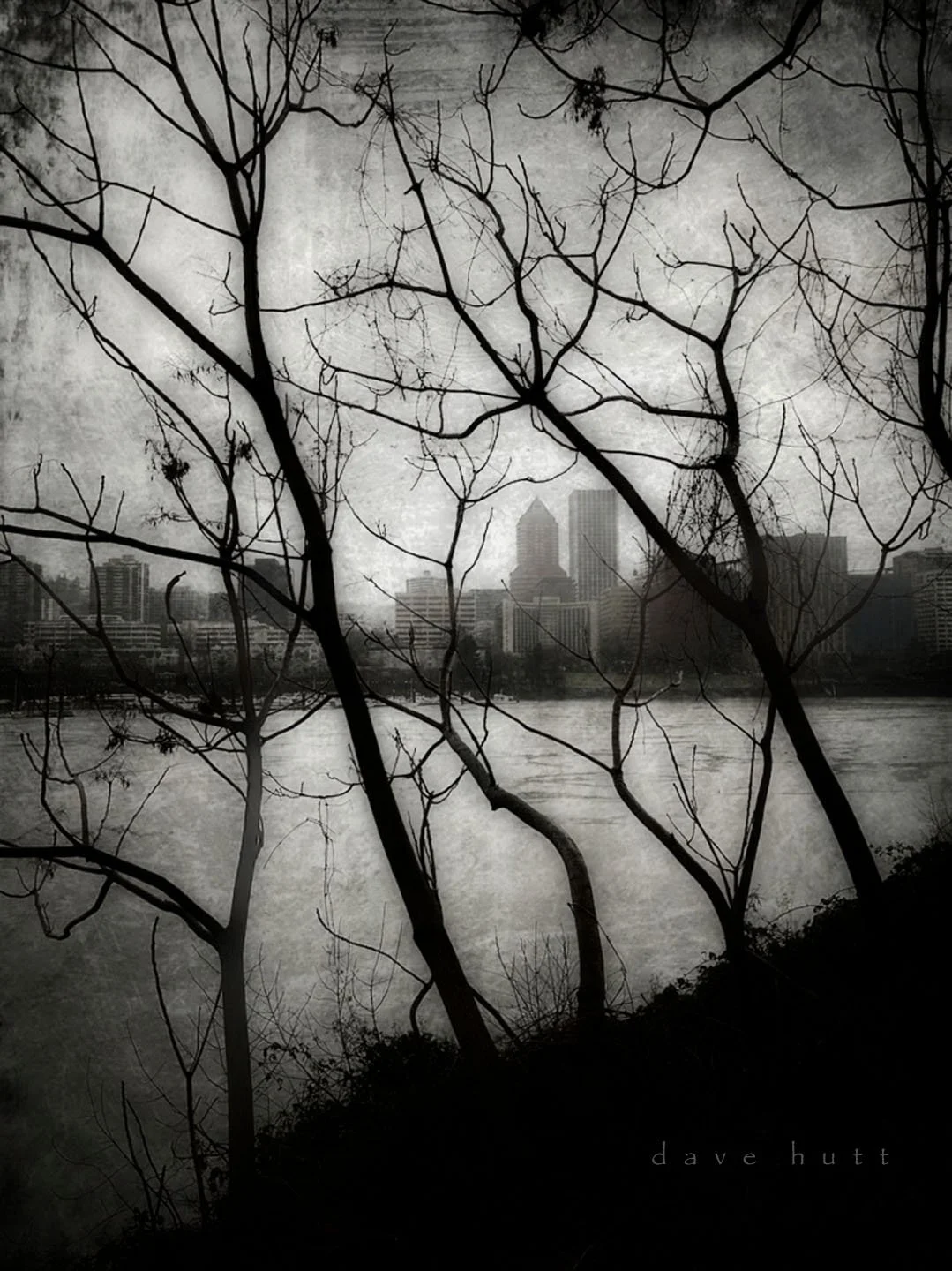 Portland BW.jpg