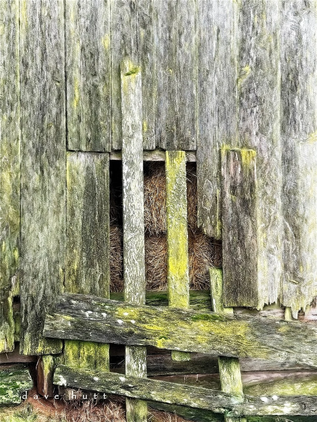 Barn wood.jpg