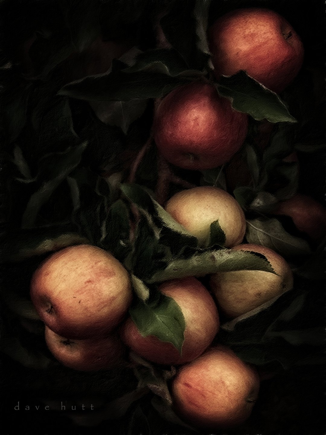 Apple Harvest 2.jpg
