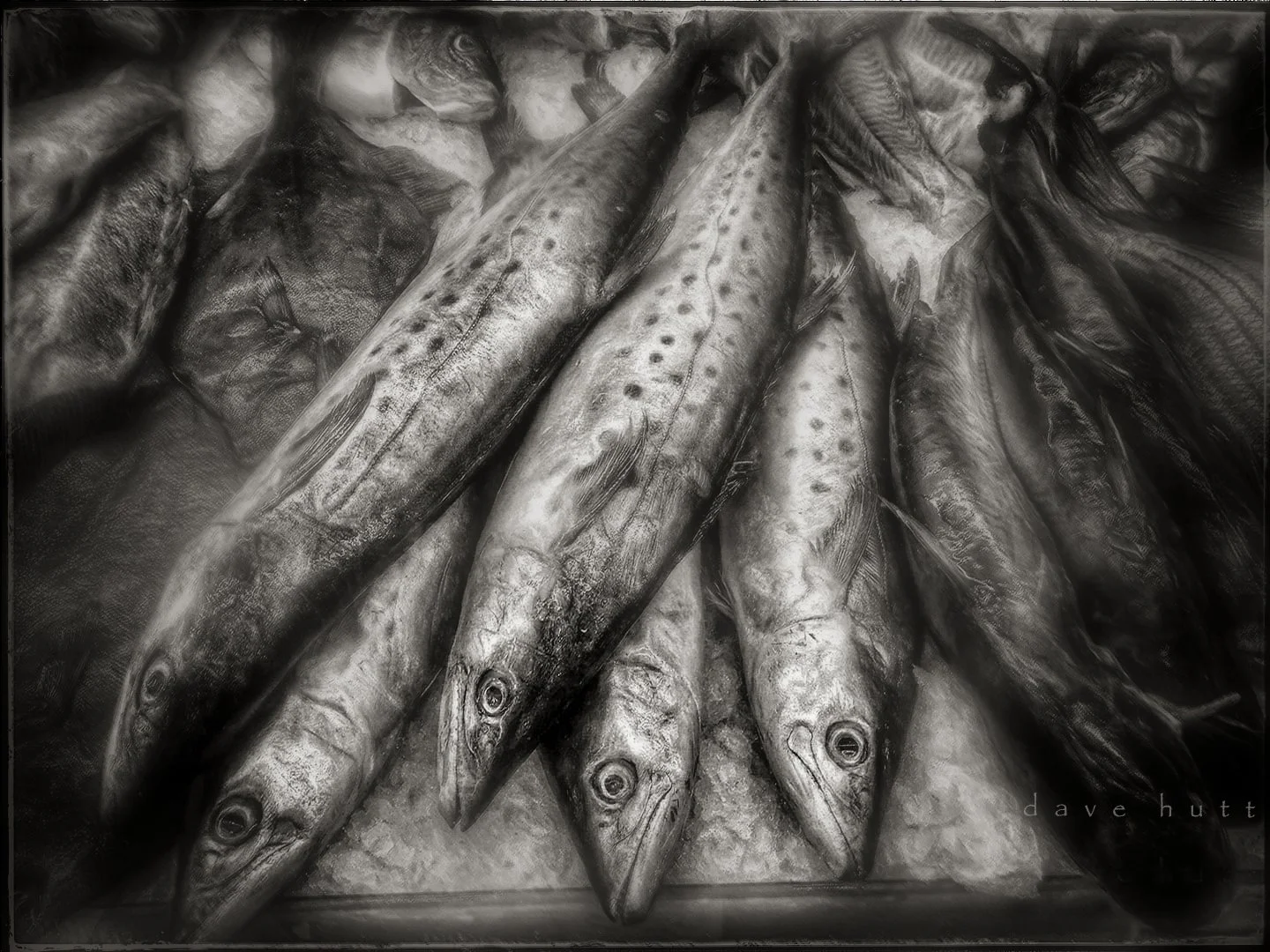Fish market BW.jpg