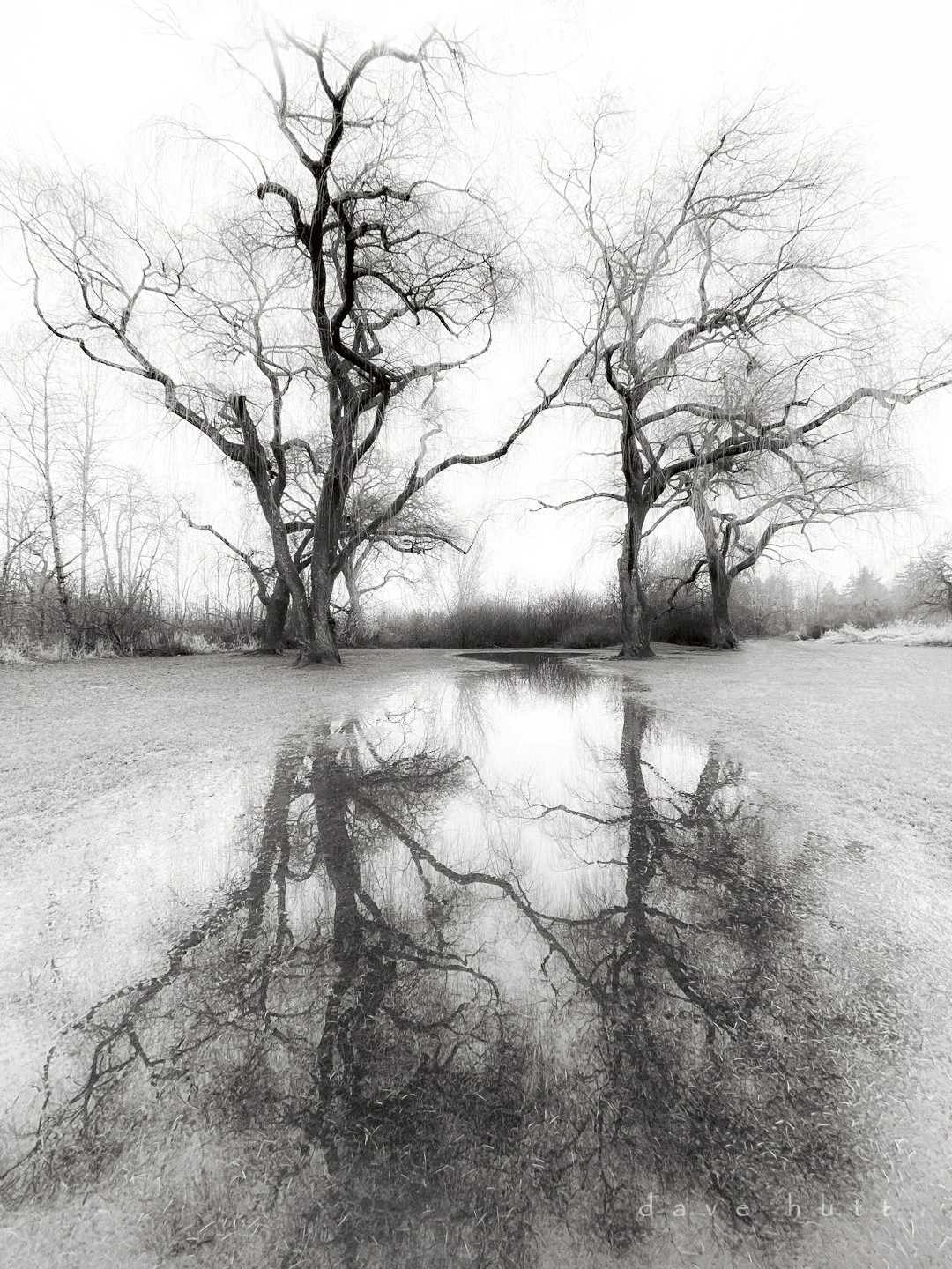 Greenway Park 1 BW.jpg