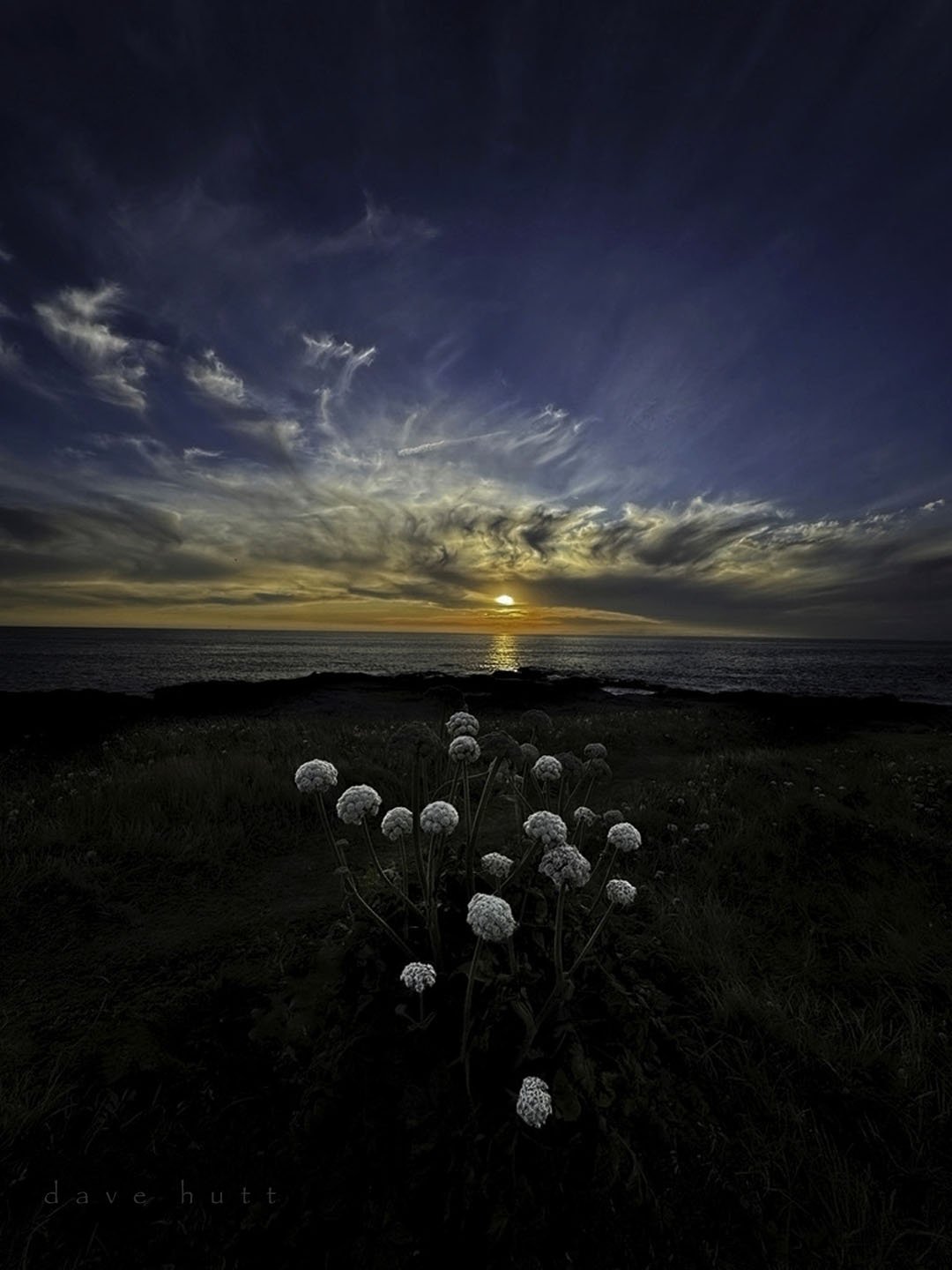 Sunset.jpg