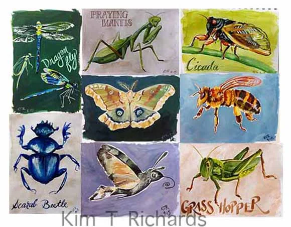 bug week sketchbook pages. Copyright 2015 Kim T. Richards. All Rights reserved.