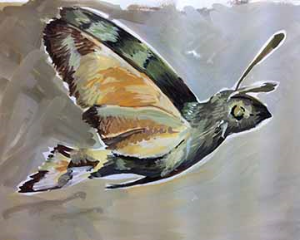 Hummingbird hawk moth sketchbook page - stage two.