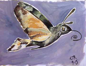 Hummingbird hawk moth sketchbook page - final image.
