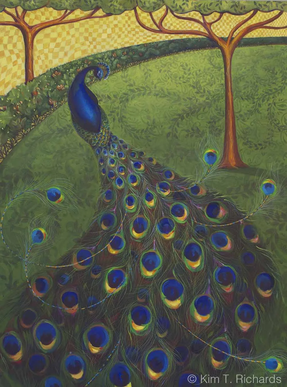 Peacock © Kim T. Richards 2014