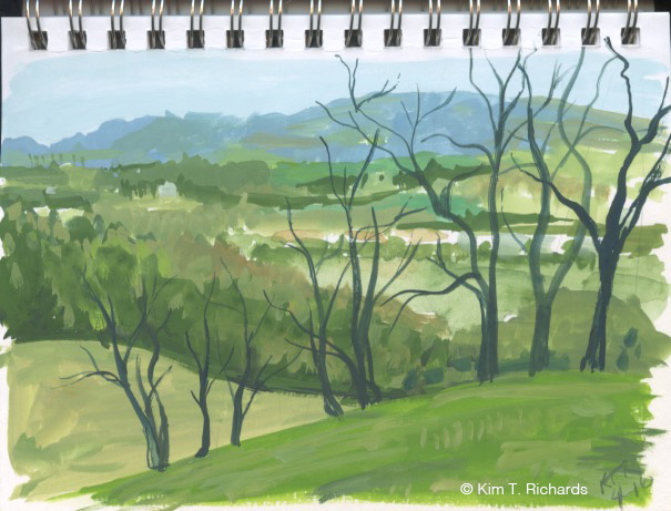 View from a local vineyard painted in traditional colors. Fun to paint, but not really "me."