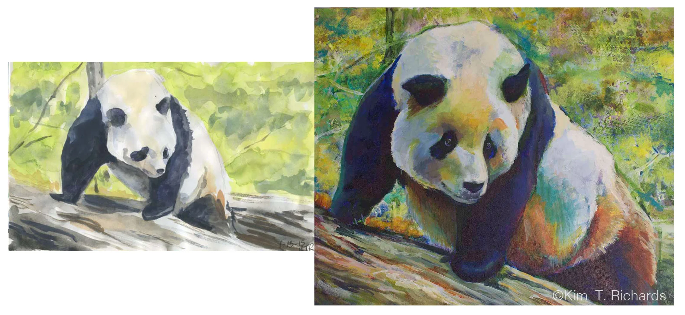 Tian Tian and the sketch that inspired it. This is one of the very first paintings I did that was inspired by a sketchbook page. 