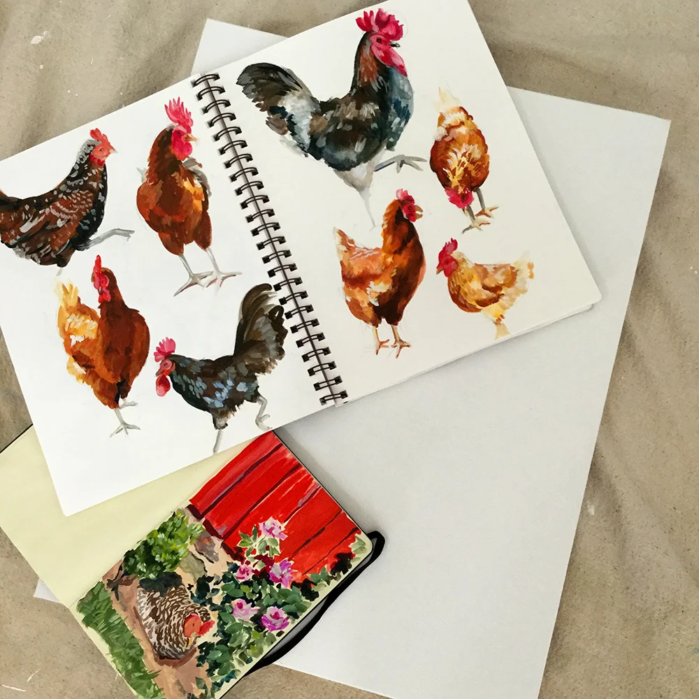 Some chicken sketchbook pages and the canvas that is waiting for them.