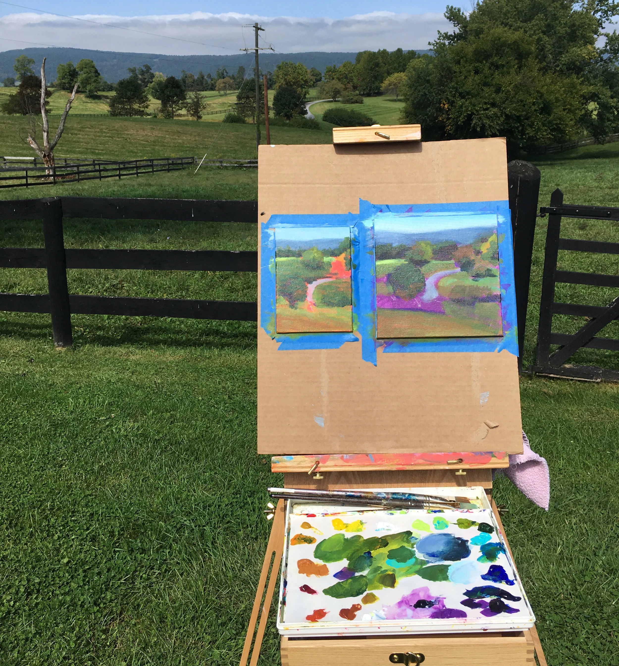 Plein air painting in Faquier county VA. I often work on two paintings at the same time when painting outdoors.