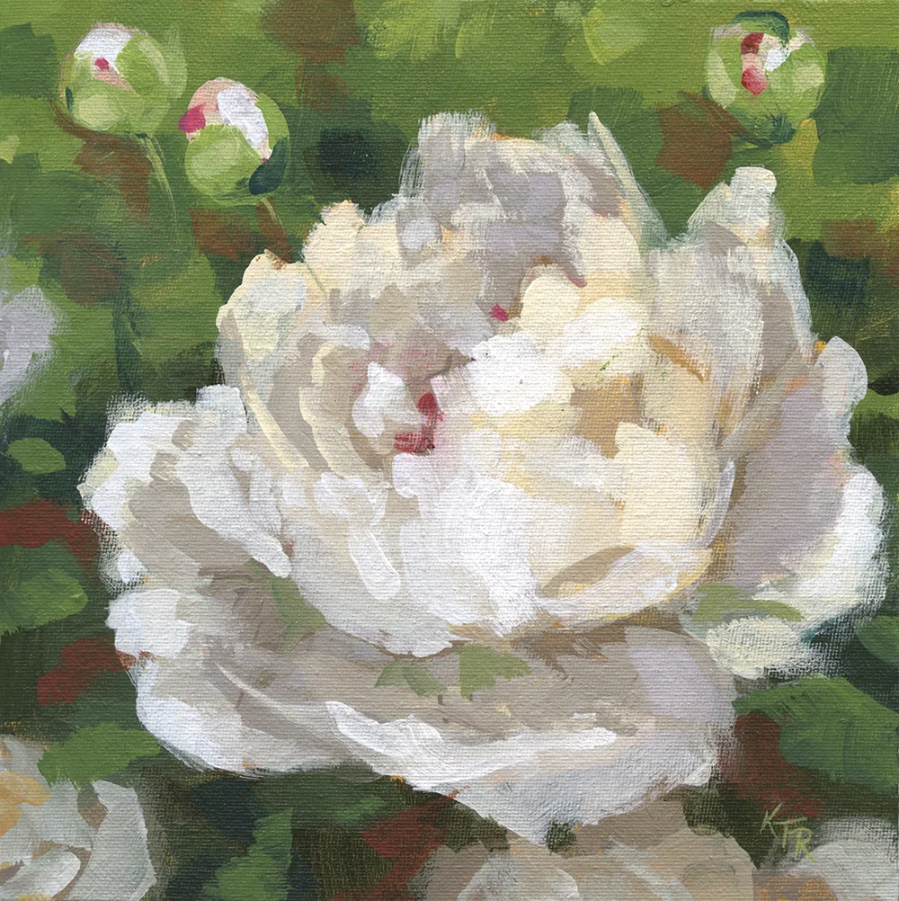 White Peony 8 x 8” acrylic on canvas panel